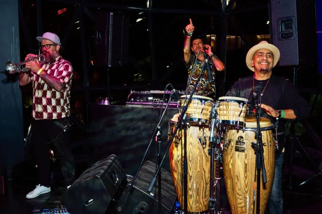 Live Music Performance